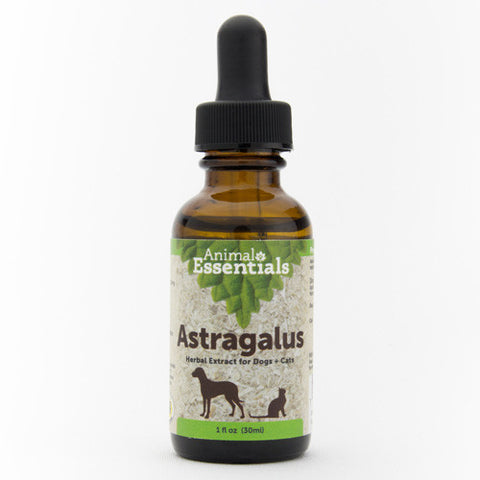 Animal Essentials Astragalus