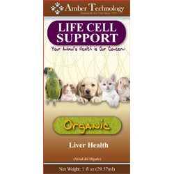 Amber Technology Life Cell Support