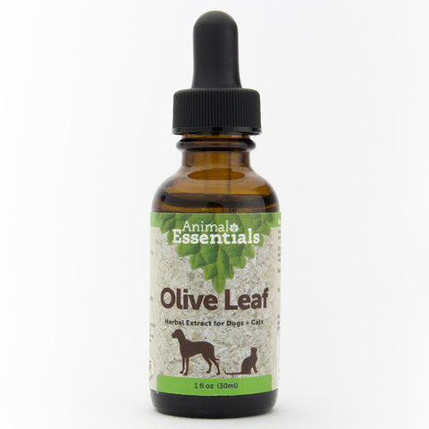 Animal Essentials Olive Leaf