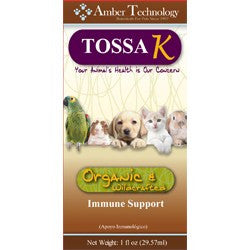 Amber Technology Tossa K