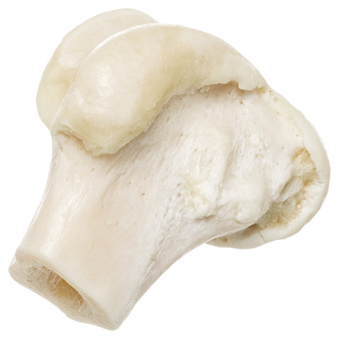 Beef White Knuckle Bone